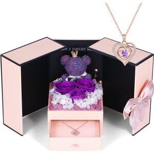 IDFALKFD Preserved Rose Gifts Set includes 925 Sterling Silver Necklace with